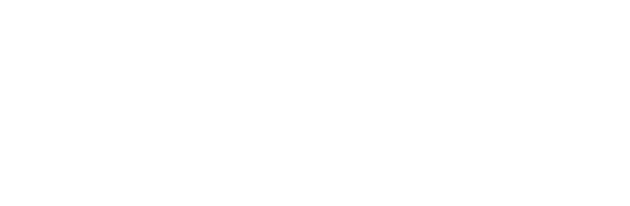 TAO Logo